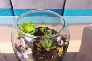 Qori Garden Apartment