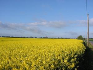 Gut-Rattelvitz-Parterre-A-hochwertig-Sauna-Kamin-eTankstelle-Spielscheune-15-000qm-Parkland