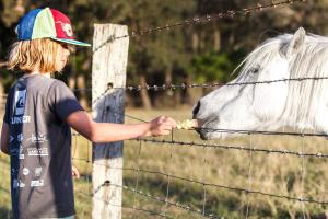 Casa Del Mare - Farm stay by the ocean