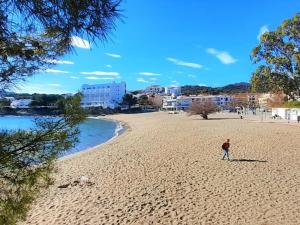 Apartamento con vistas al mar, se admiten mascotas y aparcamiento en Llançà - ES-170-15
