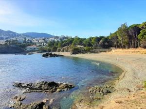 Apartamento de 3 habitaciones con terraza, piscina, parking y aire acondicionado en Llançà - ES-170-54
