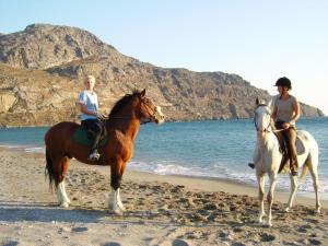 Alianthos Beach Hotel Rethymno Greece