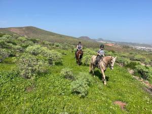 Country Home with horses in Telde