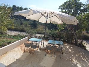 Hillbilly cabin, 2 studios in nature with terrace and parking