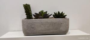 London gateway studio flat