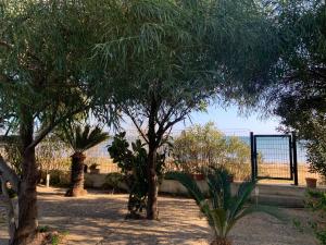 Da Paolo e Lilli img12