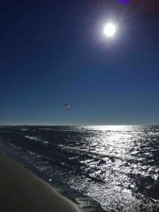 Maisons de vacances Mas Provencal de 120m2 en Camargue, Avec Piscine et Parking inclus, Ideal pour des vacances : photos des chambres