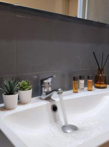 Appartements Cocoon - Appartement Centre Ville Concarneau : photos des chambres