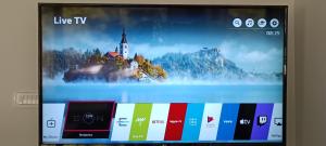 House Apartma Čebela with jacuzzi 