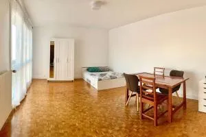 Appartement bien situé - 马恩河畔维列