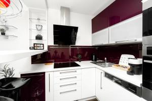 BNB New Beautiful Apartment in the Center of Ostrava with option Garage Parking