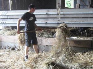 Sejours a la campagne La Bretonne : photos des chambres