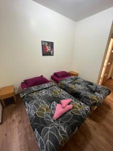Auberges de jeunesse Hotel Lyonnais : photos des chambres