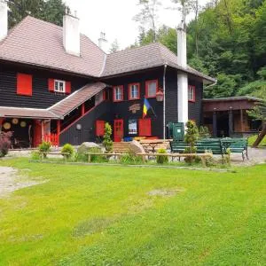 Cabana Basmelor cu Ciubar - Michelsberg