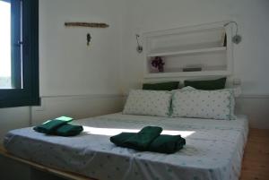 Charming Cottage on the sea turtle beach