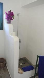 Charming Cottage on the sea turtle beach