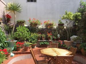 Seaside garden flat in Kemp Town