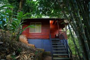 Misty Morning Resorts Wayanad