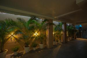 Aarna house