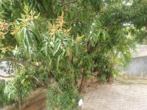 Sunshine Guest House