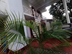 Sunshine Guest House