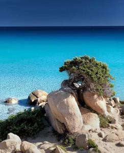 Villa Acquamarina Villasimius img1