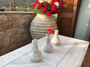 Small paradise in Saint Nicolas Village !