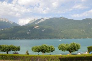 Le Coin des Cygnes, appartement face au lac dAnnecy avec plage privée