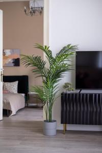 Spacious Vintage Apartment for 12PPL