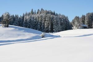 Haus Allgäu Ruh