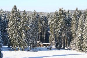 Haus Allgäu Ruh