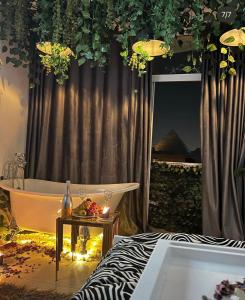 pharaoh pyramids view