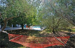 Pet Friendly Home In Plano