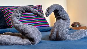 SC Collection - Charme et Authenticité du Panier