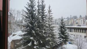 Central Apartament Predeal Nr 3