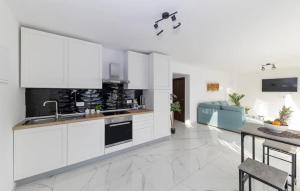 Gorgeous Apartment In Petrcane With Kitchen