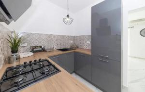 Gorgeous Apartment In Petrcane With Kitchen