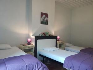 Gite au sein du Parc des Volcans dAuvergne, tous commerces à pied