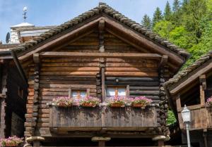 Appartamento su 2 Livelli