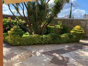 Apartamento con jardín