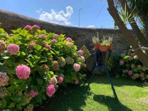 Apartamento con jardín