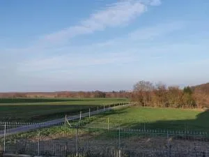 Ferienwohnung in der Natur - Wolfsheim