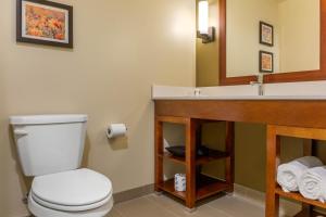 King Room - Non-Smoking room in Comfort Inn & Suites