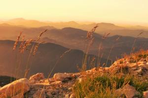 Maisons de vacances Au Bregnat Vue du mont Ventoux : photos des chambres