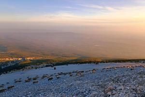 Maisons de vacances Au Bregnat Vue du mont Ventoux : photos des chambres