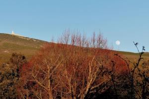 Maisons de vacances Au Bregnat Vue du mont Ventoux : photos des chambres