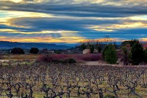 Maisons de vacances Au Bregnat Vue du mont Ventoux : photos des chambres