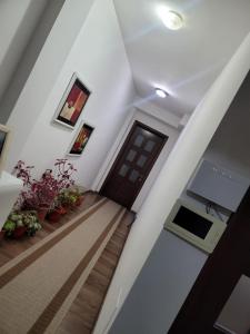 Guesthouse Kocibelli