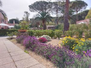 Lido I Palmizi
