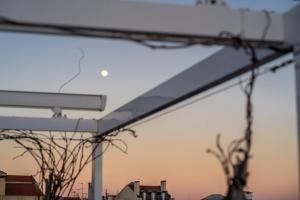 T1 Oasis with Amazing Terrace